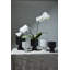 Pot de fleurs en céramique Patricia-100314897