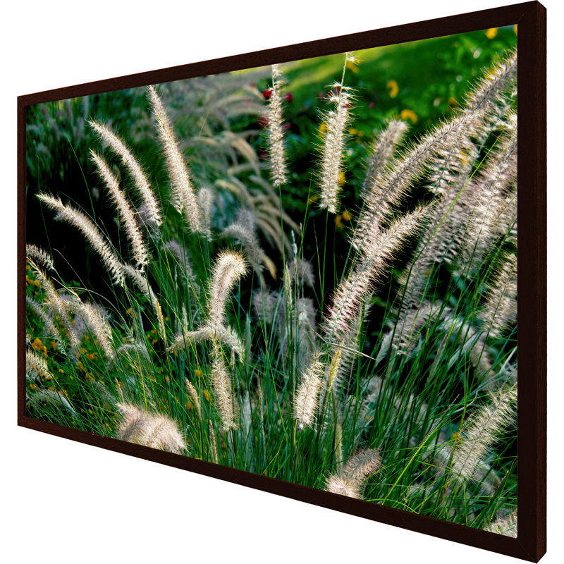 Andrew Lee - Wrapped Canvas Print, 76cm H x 114cm W x 4cm D, Brown Framed