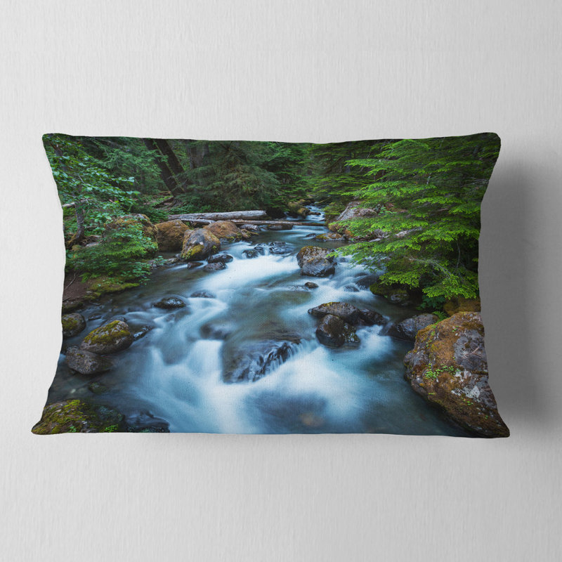 Coussin lombaire Schafer Landscape