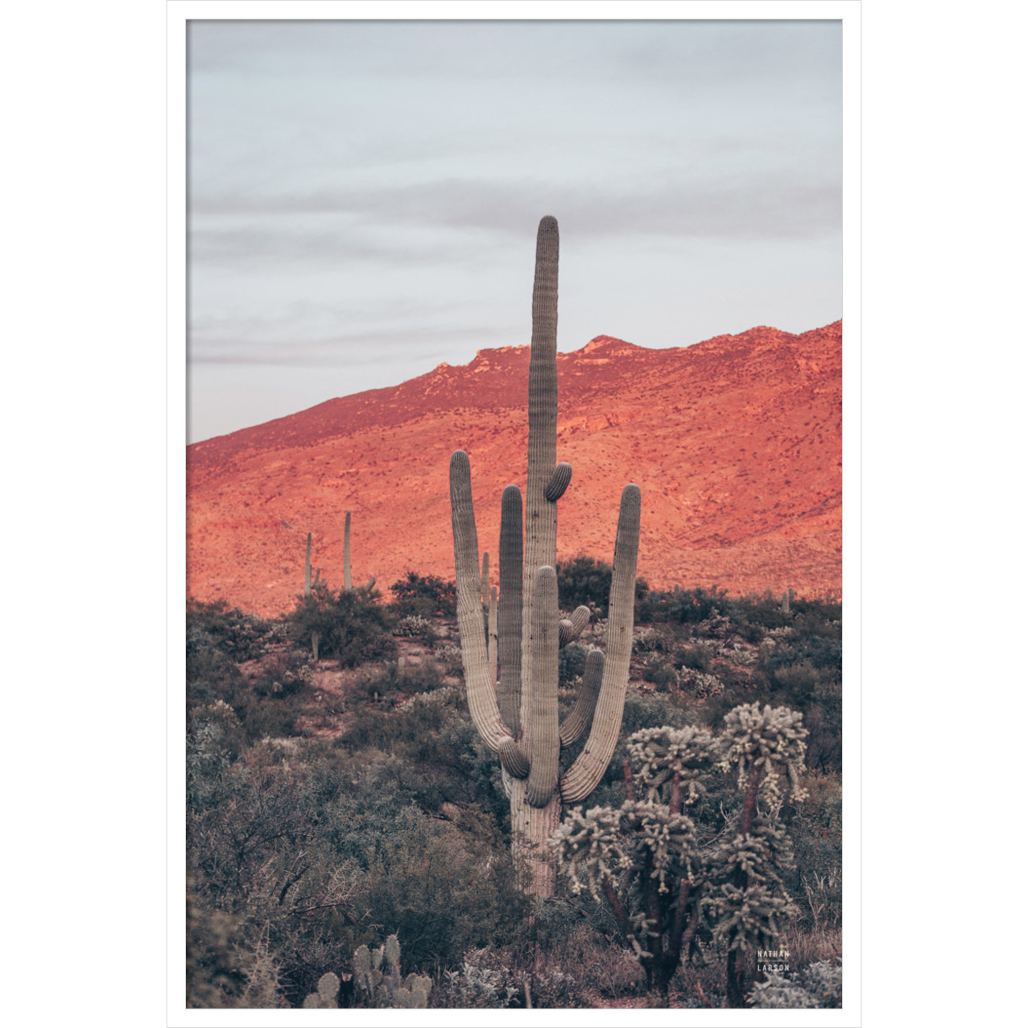 Sunsets And Saguaros by Nathan Larson, White, 41" H x 28" W x 1" D