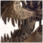 Buste de tyrannosaure-50189502