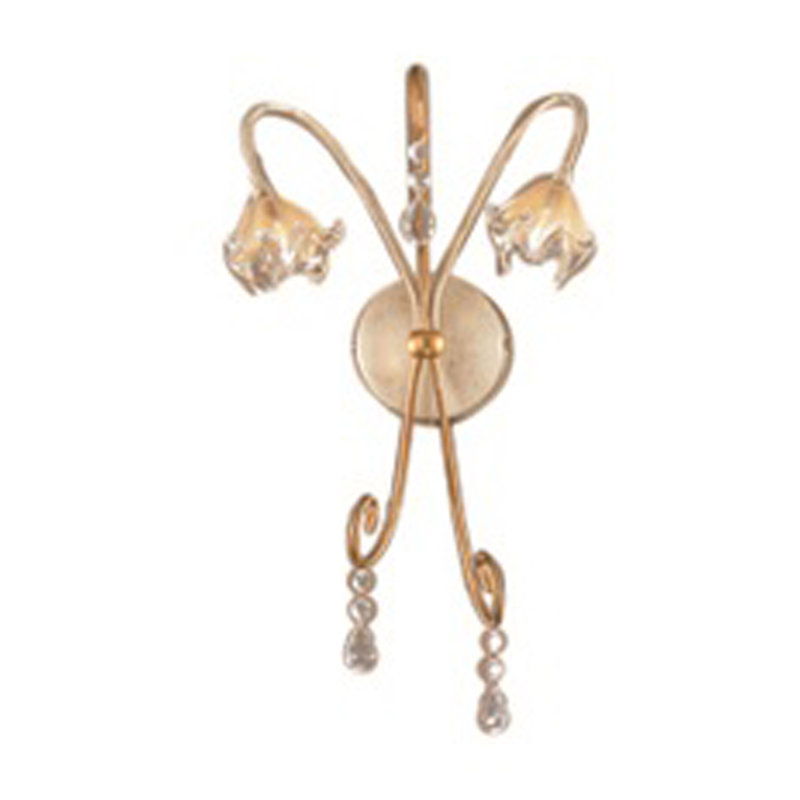 Iron Armed Sconce