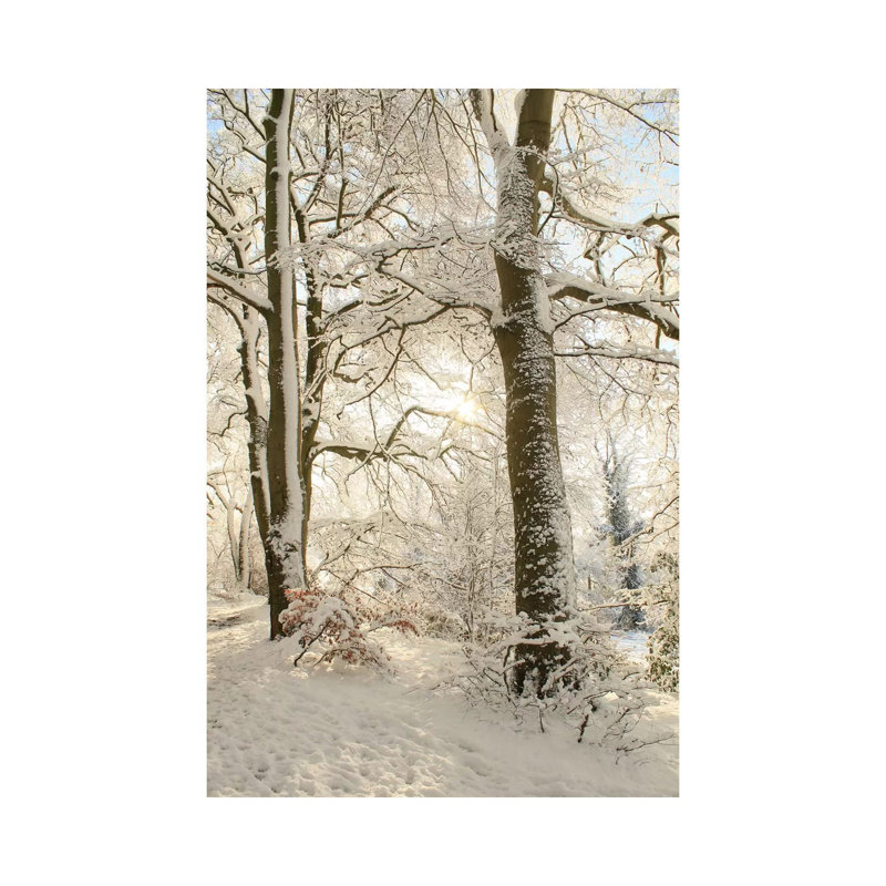 Snowy Winter Trees by Alyson Fennell - Wrapped Canvas Print, 66.04 cm H x 45.72 cm W x 3.175 cm D