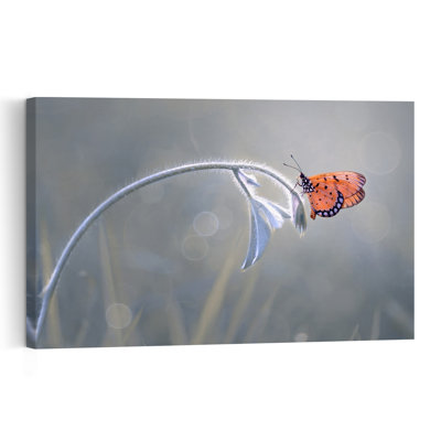 Orange Butterfly Perch Contemporary Butterfly Wall Art Print 1 Piece Wrapped Canvas Wall Art
