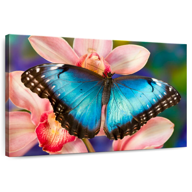 Brampt Butterfly On Orchids, 24" H x 36" W