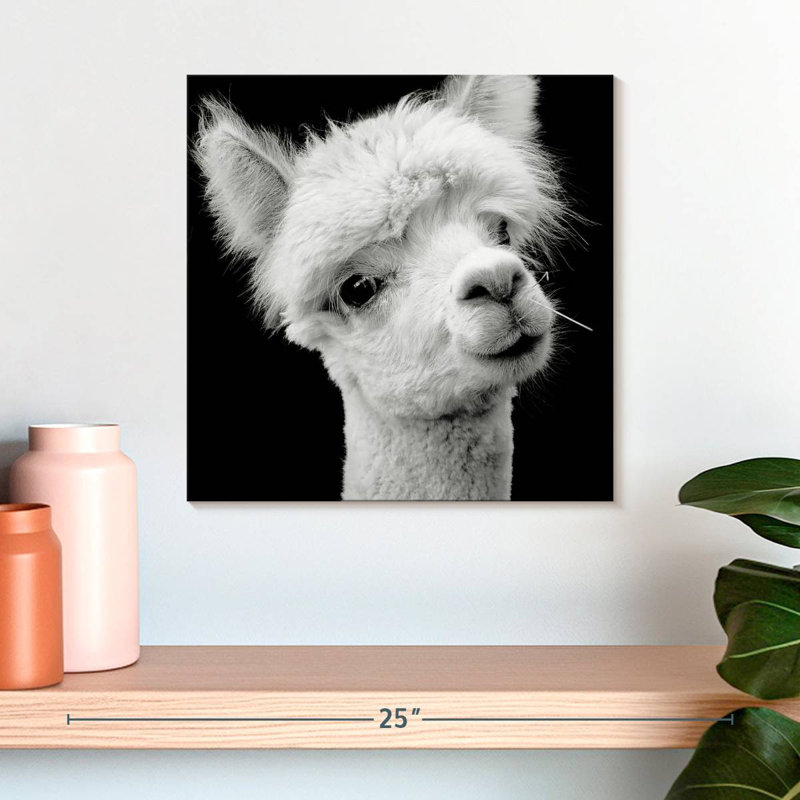 Crowle Monochrome Alpaca Head, H 16 po x l 16 po