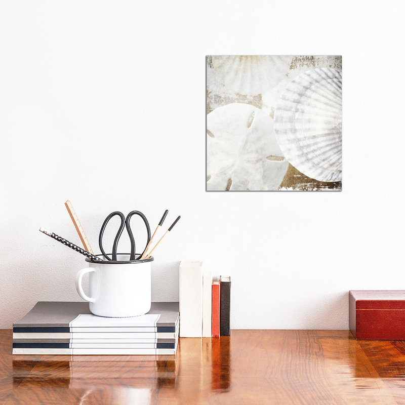 White Shells II by Irena Orlov - 1 Piece Wrapped Canvas Painting, 30.48cm H x 30.48cm W x 1.91cm D