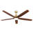 Ceiling Fan With Remote Control-10943045