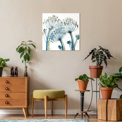 " Unfocused Beauty 2 " X-Ray Photography Print
