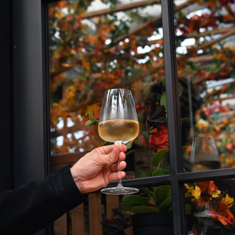 Talismano 15,25 oz. Verres à vin Chardonnay