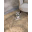 Tapis d'intérieur / extérieur brun Jaimes-769177650