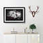 Winters Bloom Flowers - Picture Frame Graphic Art Print-56864707-56864704