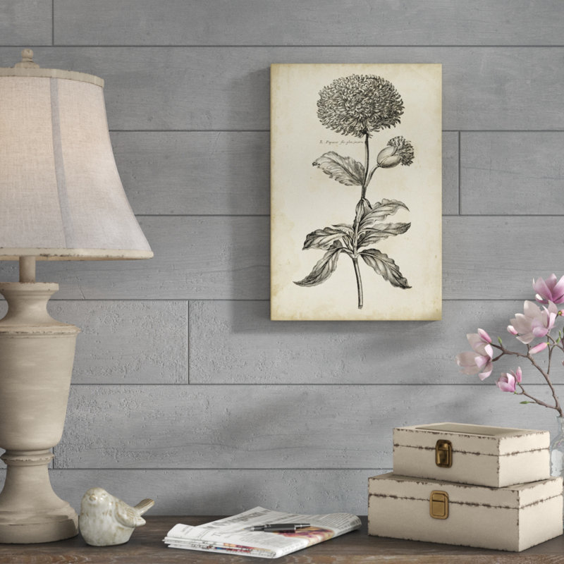Singular Beauty II by Vision Studio - Print on Canvas, Wrapped Canvas, 46cm H x 30cm W