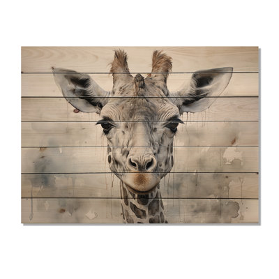 " Giraffe Graceful Necks "