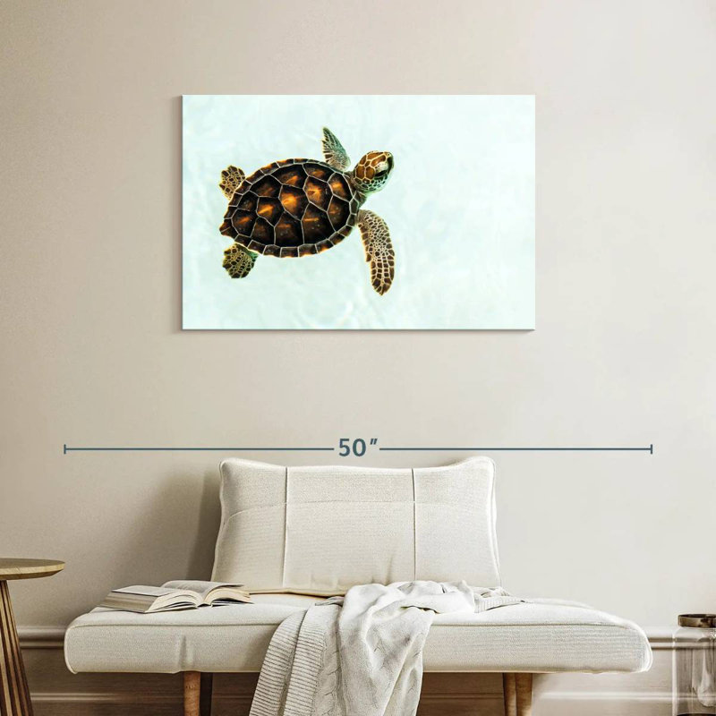 Brampt Baby Turtle, 24" H x 36" W