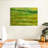 Avery Green Fields-107499378