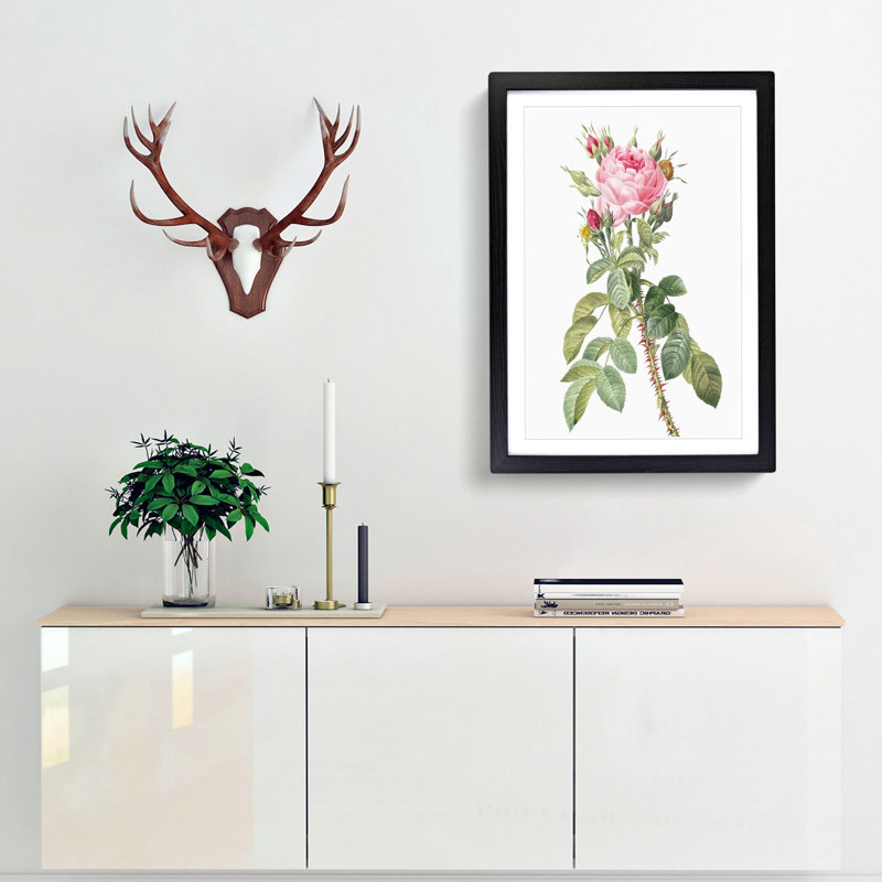 Pink Roses in Bloom by Pierre-Joseph Redoute - Picture Frame Graphic Art Print, 36cm H x 27cm W x 2cm D, Black Framed