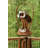 Rakhshan Bamboo Animals Wind Chime