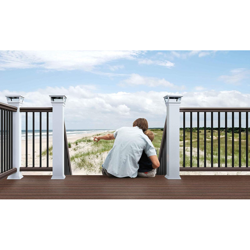 Paquet de 100 balustres de terrasse en métal noir 32,25 po - Broches droites rectangulaires creuses pour balustrade de terrasse / escalier et porche, avec vis assorties (32,25 x 1,2 x 0,4 po)