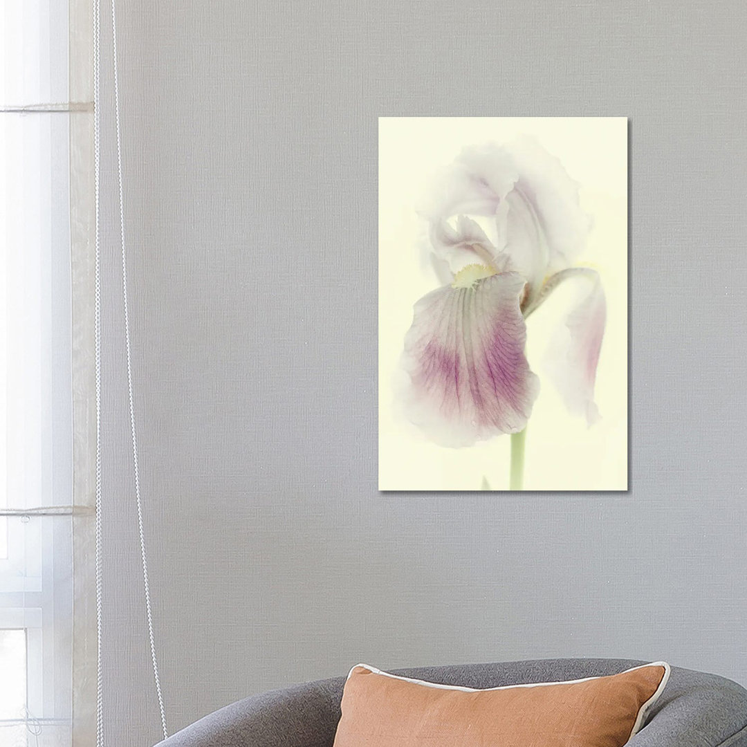 Flowers Aglow I von Judy Stalus - Galerie-verpackte Leinwand Giclée auf Leinwand