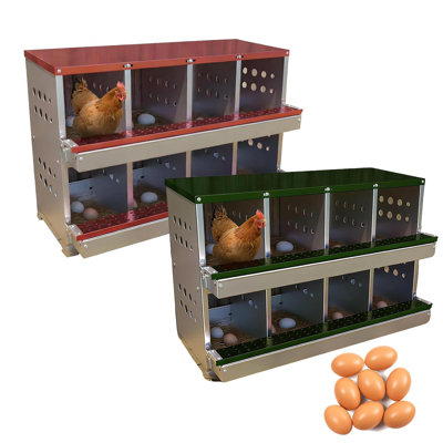 Chicken Coop