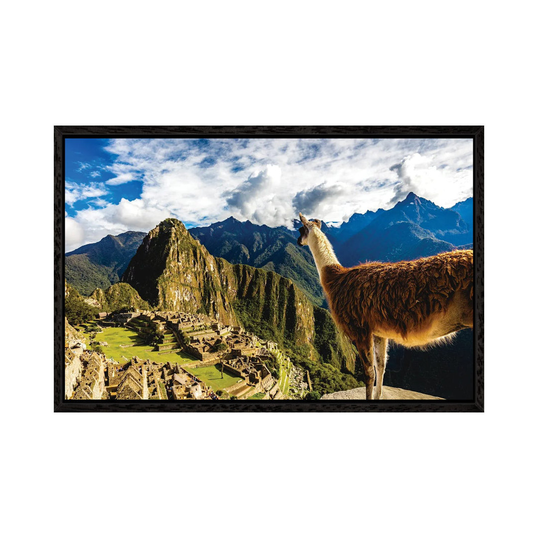 Peru Machu Picchu Lama Overlooking von Alex G Perez - Galerie-umwickelte Leinwand Giclée auf Leinwand