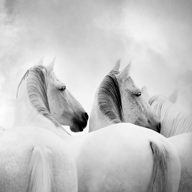 Wrapped Canvas Print, 61 cm H x 61 cm W x 3.81 cm D