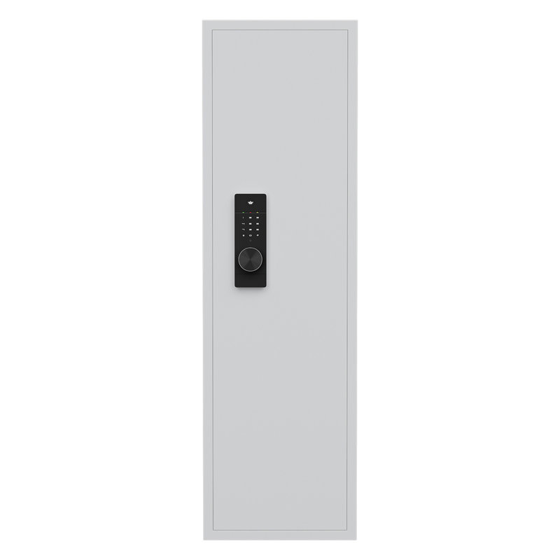 53" Passwod Touch Panel In-Wall Safe