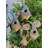Guglielmo 86.75'' H x 26'' W x 9'' D Birdhouse
