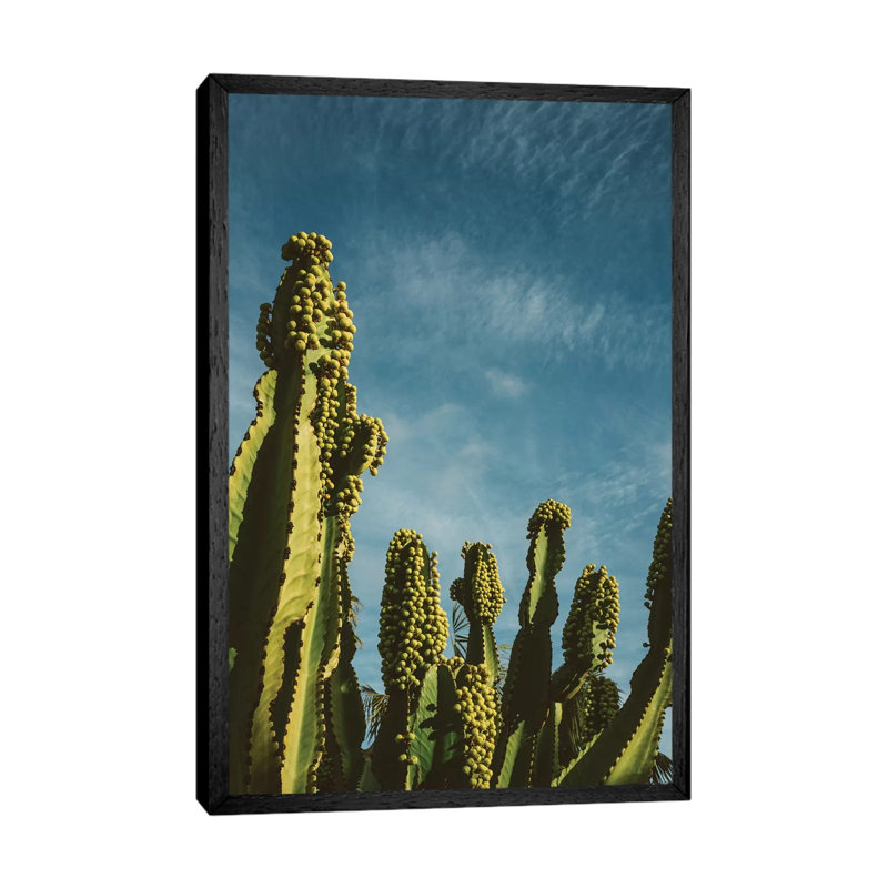 Reach For The Sky by Bethany Young - Print on Canvas, 66.04cm H x 45.72cm W x 3.81cm D, Black Framed