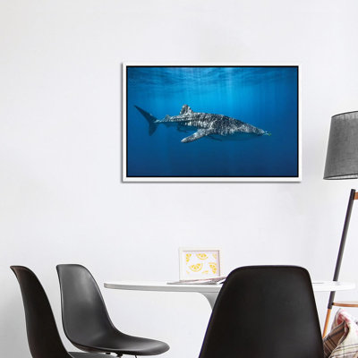 Whale Shark In The Blue by Barathieu Gabriel - Print on Canvas