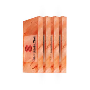 Himalayan Pink Salt Bricks Size 8" X 4" X 1" Natural Salt Tiles For Salt Walls, Spa & Sauna Set Of 4 (Ensemble de 4)
