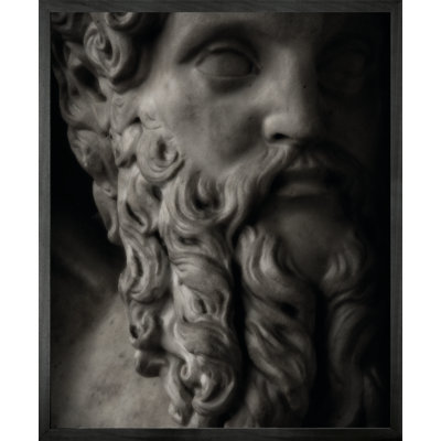 Statuesque 10 by Michael Banks - Single Picture Frame Print on Canvas