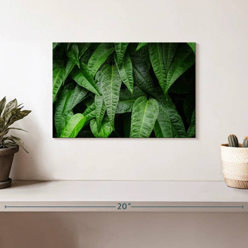 Harnek feuilles de plantes fraîches, H 8 po x l 12 po