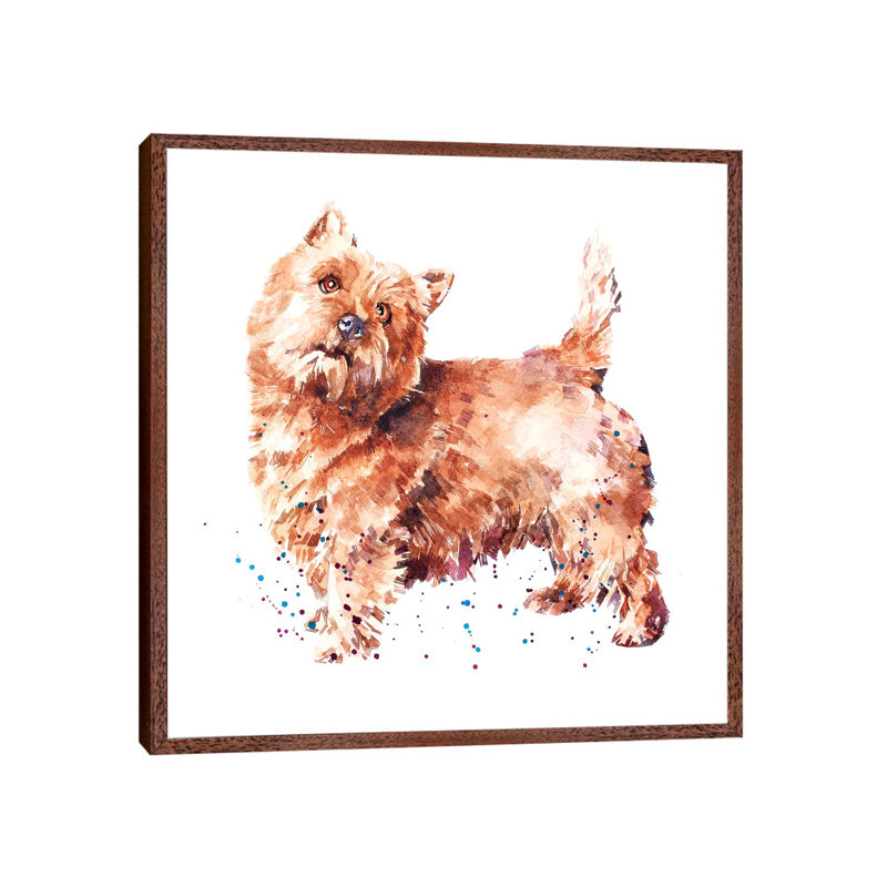 Norwich Terrier - Painting on Canvas, 45.72 cm H x 45.72 cm W, Classic Brown Wood Framed