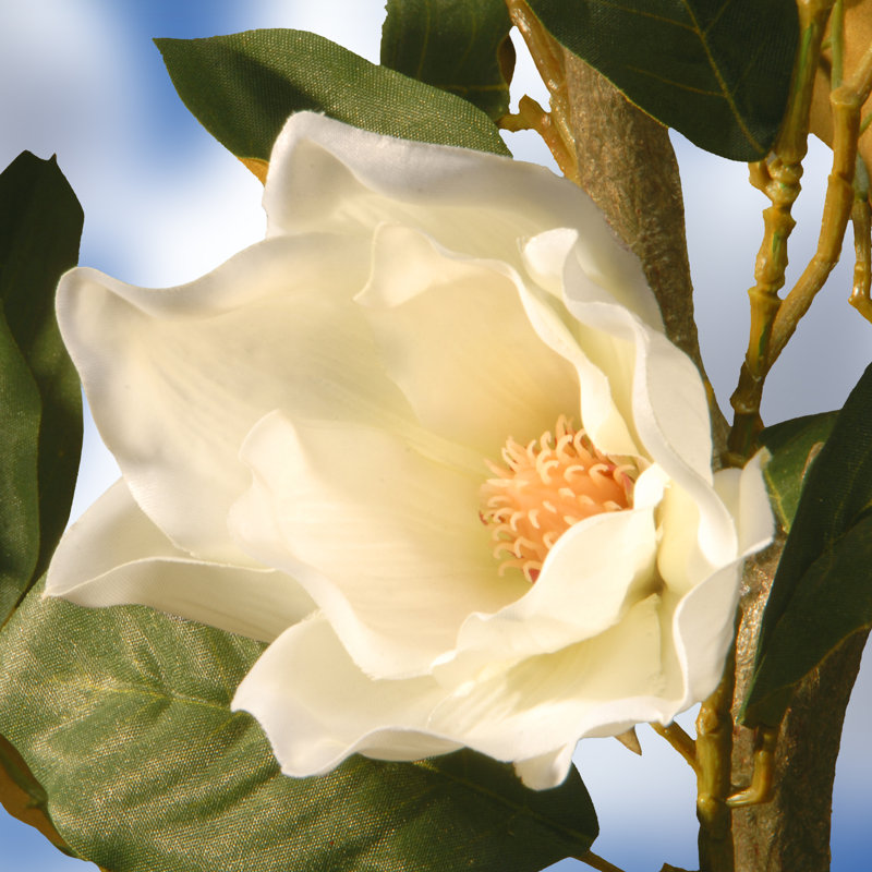 Magnolia artificiel 48 po en pot, Crème