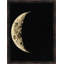 Cycle Of The Moon 1 Print