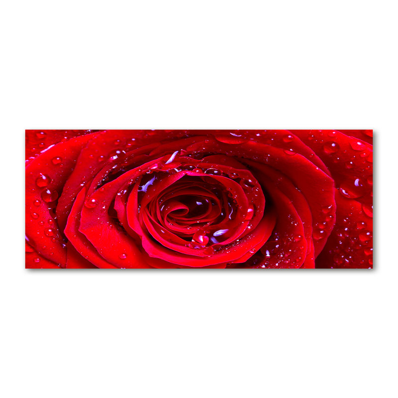 Rose Flower Wrapped Canvas - Art Prints, Canvas, 50cm H x 125cm W