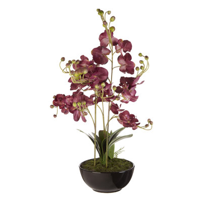 85cm Flowering Plant in Ceramic Pot