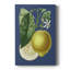 «French Lemon On Navy I», impression sur toile tendue-2138633981