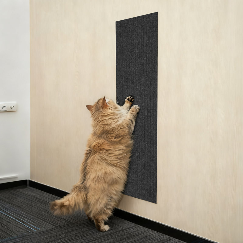 Autocollant mural pour chat en polyester anti-rayures et résistant à l'usure Adhésif mural pour chat