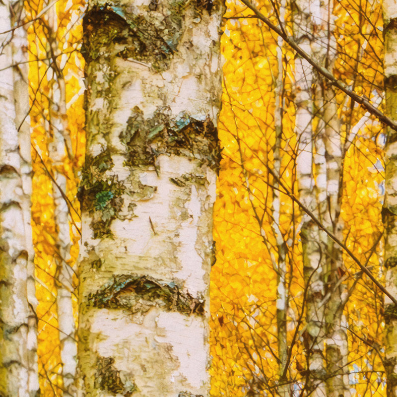 Murale automne, H 108 po x l 96 po