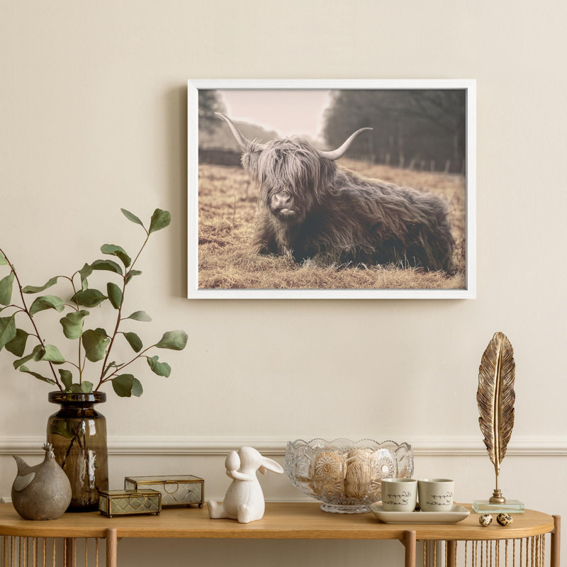 Illustration d'une petite vache Highland, H 11 po x l 14 po, Blanc
