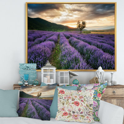 Sunrise & Dramatic Clouds Over Lavender Field VII - reproduction de cadre flottant sur toile