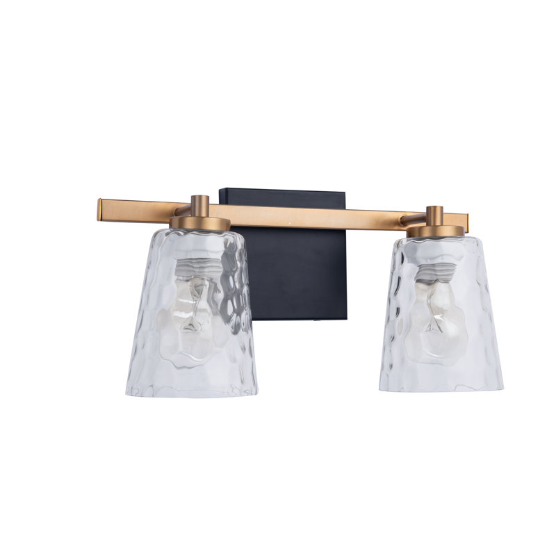 Aimili Modern 2-Light Vanity Light, Gold/Black