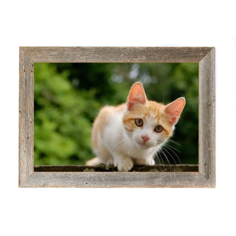 Cadre photo rustique en bois, 24 po x 36 po