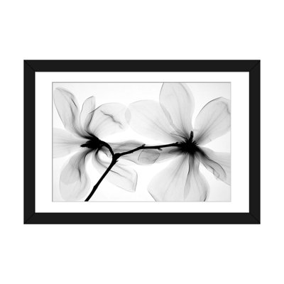 «Magnolias I», estampe numérique sur toile tendue avec châssis