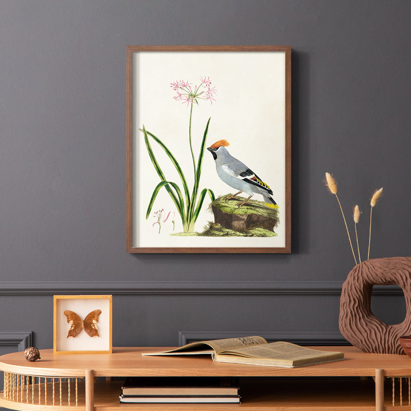 Bird in Habitat II, reproduction encadrée - bois massif, Brun, H 28 po x l 22 po