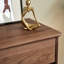 Commode d'appoint avec rangement en noyer noir