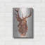 «Stag Study I» par Ethan Harper - impression sans cadre sur métal-1695208822